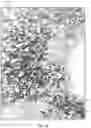 Fig. 02 - Architectural resin panel with incorporated scrap materials