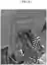 Fig. 44 - Expanded slit sheet void fill dispensing systems and methods
