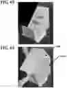 Fig. 63 - Expanded slit sheet void fill dispensing systems and methods