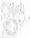 Fig. 02 - Lid