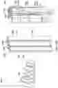 Fig. 74 - DOCUMENT TRANSPORT PATH WITHOUT IDLER ROLLERS
