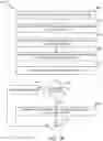 Fig. 79 - DOCUMENT TRANSPORT PATH WITHOUT IDLER ROLLERS