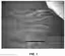 Fig. 02 - Large scale synthesis of resorcinol-formaldehyde aerogel