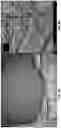 Fig. 07 - Large scale synthesis of resorcinol-formaldehyde aerogel