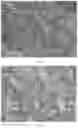 Fig. 06 - Silica aerogel preparation method and aerogel prepared using said method