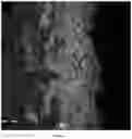 Fig. 06 - Special device and method for cement product surface microcrystallization