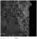 Fig. 08 - Special device and method for cement product surface microcrystallization