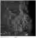 Fig. 09 - Special device and method for cement product surface microcrystallization