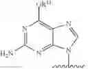 Fig. 294 - Nucleotide analogs