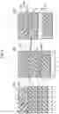 Fig. 07 - COLLOIDAL STRUCTURE, MULTI-COLLOIDAL STRUCTURE, AND PRODUCTION METHOD FOR COLLOIDAL STRUCTURE