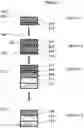 Fig. 02 - Pressure sensitive adhesive and preparation and use thereof