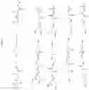 Fig. 71 - Biological buffers with wide buffering ranges