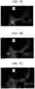 Fig. 08 - Optical wavelength conversion member and light-emitting device