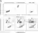 Fig. 01 - Identification of rare products of crossing organisms