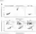 Fig. 02 - Identification of rare products of crossing organisms