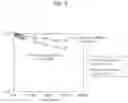 Fig. 06 - DRIED BACTERIAL CELL POWDER CONTAINING A CAROTENOID AND METHOD FOR PRODUCING THE SAME