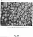 Fig. 09 - CELL-SUPPORT MATRIX HAVING NARROWLY DEFINED UNIFORMLY VERTICALLY AND NON-RANDOMLY ORGANIZED POROSITY AND PORE DENSITY AND A METHOD FOR PREPARATION THEREOF