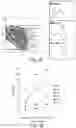 Fig. 07 - Methods for improving the efficacy and expansion of immune cells