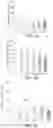 Fig. 09 - Methods for improving the efficacy and expansion of immune cells