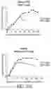 Fig. 45 - Methods for improving the efficacy and expansion of immune cells