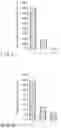 Fig. 06 - METHOD OF PRODUCING CAR-T CELLS, NUCLEIC ACID-INTRODUCING CARRIER AND KIT