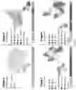 Fig. 03 - CELL POPULATIONS AND GENE EXPRESSION ASSOCIATED WITH IN VITRO BETA CELL DIFFERENTIATION