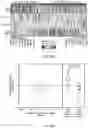 Fig. 64 - CELL POPULATIONS AND GENE EXPRESSION ASSOCIATED WITH IN VITRO BETA CELL DIFFERENTIATION