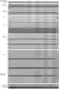 Fig. 84 - CELL POPULATIONS AND GENE EXPRESSION ASSOCIATED WITH IN VITRO BETA CELL DIFFERENTIATION