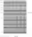Fig. 87 - CELL POPULATIONS AND GENE EXPRESSION ASSOCIATED WITH IN VITRO BETA CELL DIFFERENTIATION