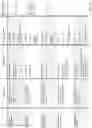 Fig. 90 - CELL POPULATIONS AND GENE EXPRESSION ASSOCIATED WITH IN VITRO BETA CELL DIFFERENTIATION