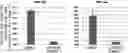 Fig. 01 - METHOD FOR PRODUCING PRIMITIVE GUT TUBE CELLS