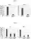 Fig. 02 - METHOD FOR PRODUCING PRIMITIVE GUT TUBE CELLS