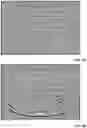 Fig. 06 - VECTORS AND METHODS OF USE