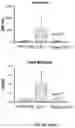 Fig. 37 - VECTORS AND METHODS OF USE