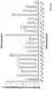 Fig. 43 - VECTORS AND METHODS OF USE
