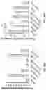 Fig. 47 - VECTORS AND METHODS OF USE