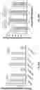 Fig. 48 - VECTORS AND METHODS OF USE