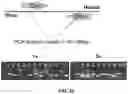 Fig. 53 - VECTORS AND METHODS OF USE