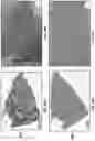 Fig. 63 - VECTORS AND METHODS OF USE