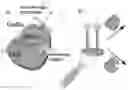 Fig. 01 - Electrochemical biosensor