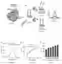 Fig. 02 - Electrochemical biosensor