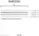 Fig. 07 - Scalable method for isolation and sequence-verification of oligonucleotides from complex libraries