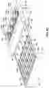 Fig. 22 - USE OF EDITING CASSETTES FOR TARGETED SEQUENCING
