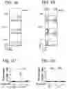 Fig. 02 - COMPOSITIONS AND METHODS FOR TREATING OR PREVENTING LUPUS