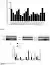 Fig. 02 - MATERIALS AND METHODS FOR MODULATING INTRAOCULAR AND INTRACRANIAL PRESSURE