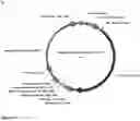 Fig. 07 - MATERIALS AND METHODS FOR MODULATING INTRAOCULAR AND INTRACRANIAL PRESSURE