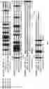Fig. 03 - BALANCED RESISTANCE AND AVIRULENCE GENE EXPRESSION
