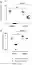Fig. 06 - COMPOSITIONS AND METHODS FOR INCREASING OR ENHANCING TRANSDUCTION OF GENE THERAPY VECTORS AND FOR REMOVING OR REDUCING IMMUNOGLOBULINS