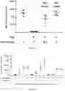 Fig. 22 - COMPOSITIONS AND METHODS FOR INCREASING OR ENHANCING TRANSDUCTION OF GENE THERAPY VECTORS AND FOR REMOVING OR REDUCING IMMUNOGLOBULINS