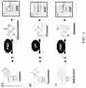 Fig. 04 - BIOSYNTHESIS OF PREPARING NICOTINAMIDE MONONUCLEOTIDE AND DERIVATIVES THEREOF
